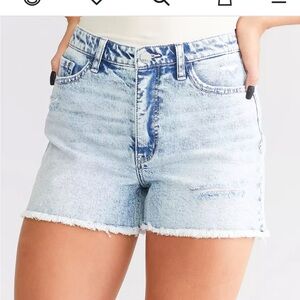 BKE Light Blue Jean Shorts
